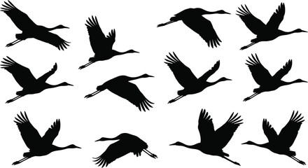Fototapeta premium Flying crane bird silhouette vector set featuring wild stork, heron, or egret flock in migration flight poses isolated on white background.
