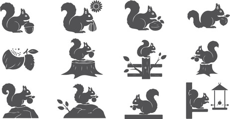 Obraz premium Group of detailed grey squirrel illustrations with nuts trees stumps and decorative elements.