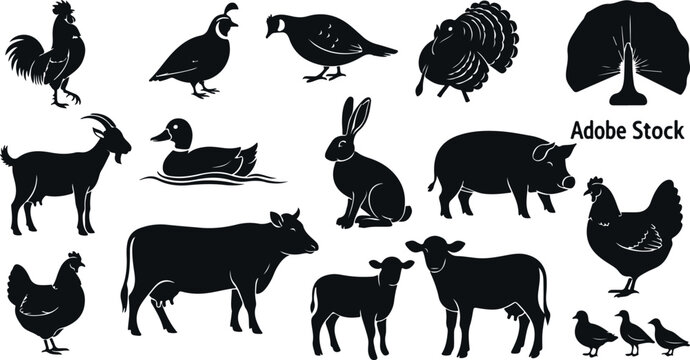 Silhouettes of farm animals and birds for agriculture and countryside themes.