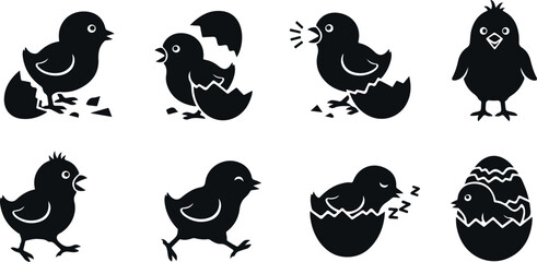 Cute little chicks hatching from eggs and growing up on transparent background.