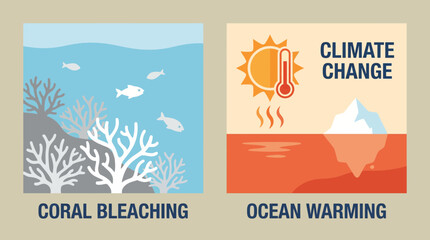 Coral Bleaching Climate Change Ocean Warming © Bima