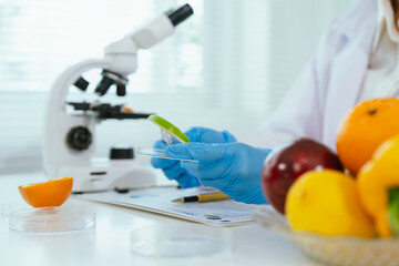 Fototapeta premium Food safety scientist documenting fruit quality test results in a laboratory, evaluating nutrition, freshness, and food safety standards through scientific analysis.