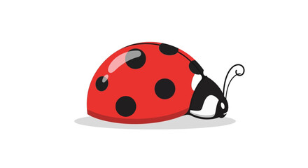 Fototapeta premium Ladybug Insect Red Black Spots.