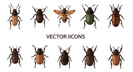Collection of various insect vector icons. © Mbah
