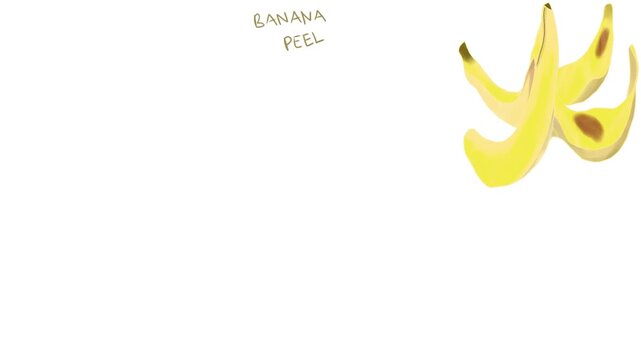 Animated watercolor collection featuring scattered banana peel in various sizes and orientations. Ideal for tropical-themed content, healthy food campaigns, educational videos, fruit branding