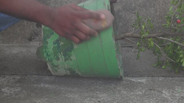 A person is cleaning a green cement flowerpot by hand using a coconut coir brush. In which a green plant is planted. One hand holds the edge of the pot while the other scrubs the damaged surface.