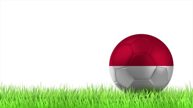 MONACO Flag Soccer Ball Rolling on Green Grass Animation with Copy Space