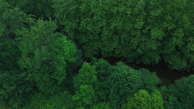 Aerial view from a drone of the As&oacute;n River in spring in Ogarrio in the municipality of Ruesga in the Autonomous Community of Cantabria, Spain, Europe