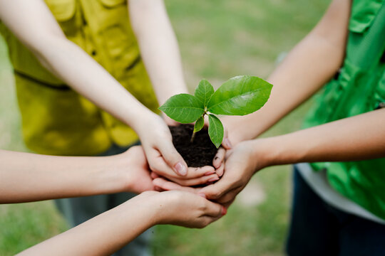 Children's hands carefully holding a small green plant seedling with rich soil, symbolizing environmental protection, community effort, and sustainable growth for the future