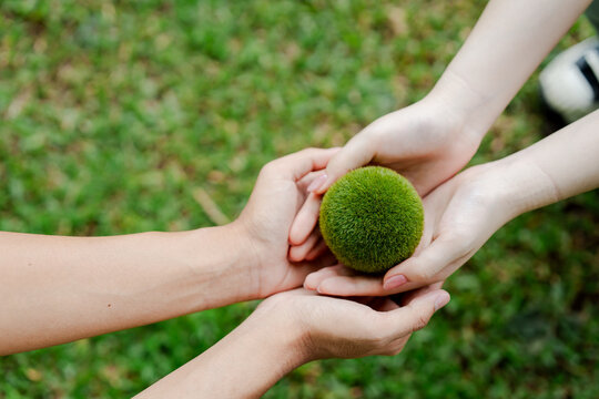 Hands carefully holding and transferring a green moss ball, symbolizing environmental protection, sustainability, eco-friendly living, and shared responsibility for nature conservation