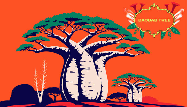 Very beautiful BAOBAB TREE with an enormous sculptural trunk, rich green foliage, African landscape accents, and a decorative botanical label reading "BAOBAB TREE", realistic colorful vector illustrat