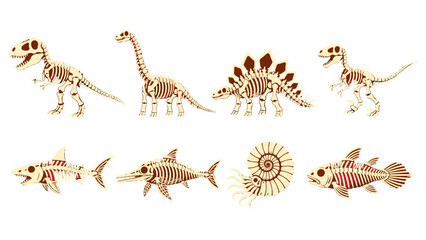 Set of dinosaur and prehistoric marine skeleton illustrations © Mark