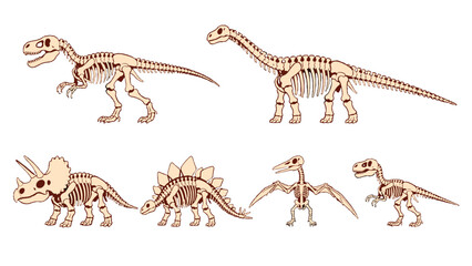 Cartoon dinosaur skeleton set with five prehistoric species © Mark