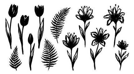Hand drawn floral collection with stems and fern leaves © Alan