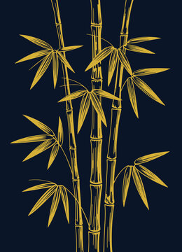 Gold Bamboo Line Art on Navy Background &mdash; Luxury Botanical Vector