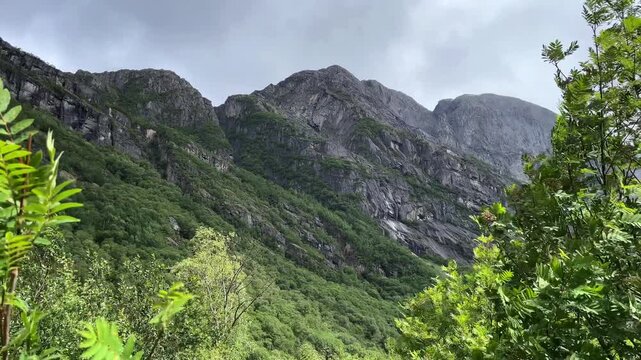 Briksdalsbreen Mountains forest in norway