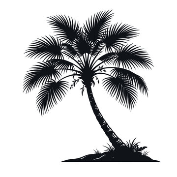 Detailed Black Silhouette of a Tropical Palm Tree Isolated on a White Background for Summer Coastal Design