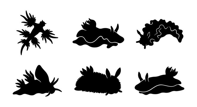 Sea Slug Silhouettes, Nudibranch Vector Icons, Marine Mollusk Collection, Ocean Life Graphics