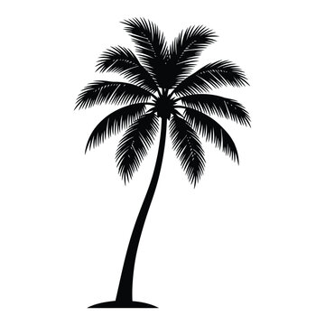 Silhouette of a majestic palm tree against a white background, symbolizing tropical locations and summer holidays