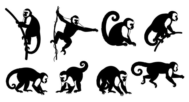 Monkeys in various poses and actions are depicted in a collection of silhouettes against a white background image-366.ai