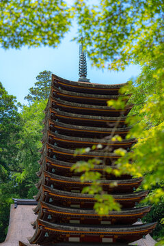 初夏の談山神社