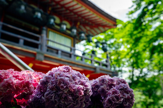 初夏の談山神社
