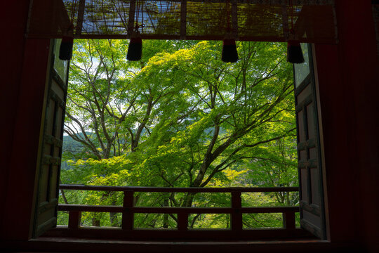 初夏の談山神社