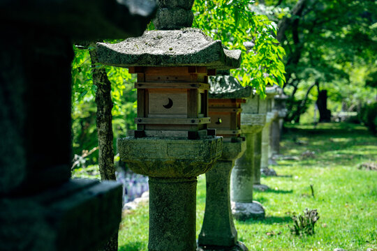 初夏の談山神社
