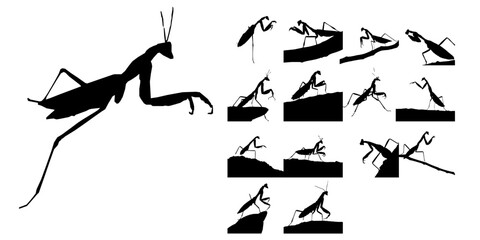 Praying Mantis Silhouette © 99___Designer
