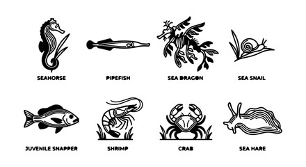 Marine Life Vector Icons: Seahorse, Pipefish, Sea Dragon, Snapper, Shrimp, Crab, Snail, Slug © imran