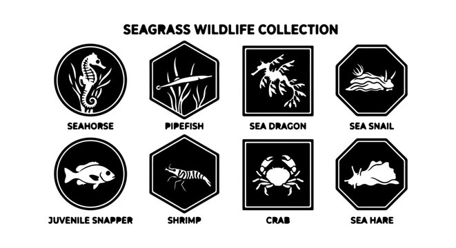 Seagrass Wildlife Collection Icons: Seahorse, Pipefish, Sea Dragon, Crab, Marine Life Set