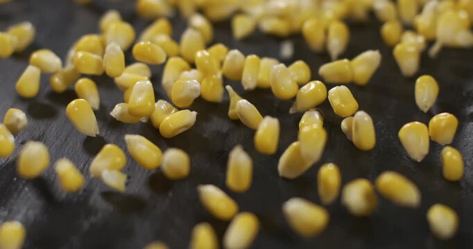Slow motion corn kernels falling on a dark textured surface