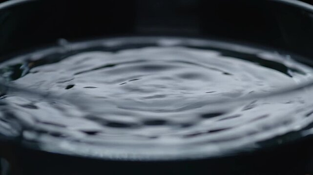 Water droplet creates ripples in dark bowl, capturing the moment of impact and the subsequent wave patterns in a continuous flow of motion and fluid dynamics