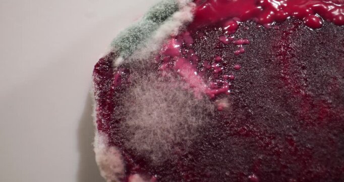 Moldy berry close-up with textured red surface
