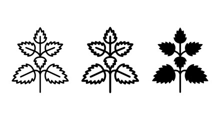 Mint Leaf Icons, Fresh Herb Vector Graphics, Green Plant Symbols, Culinary Ingredient Illustrations © Sidratul