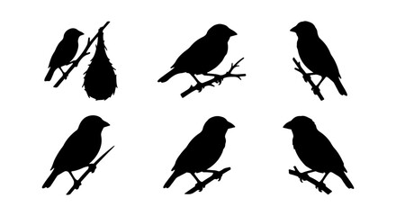 Obraz premium Bird Silhouettes Collection, Small Songbirds Perched on Branches, Vector Icons for Nature and Wildlife Design
