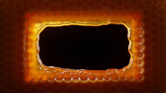 Static shot of honey rim filling and smoothing rectangular opening against honeycomb background close up of viscous golden liquid forming glossy frame