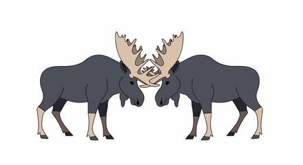 Fototapeta premium Two large moose with impressive antlers face each other, their majestic racks intertwined in a striking display