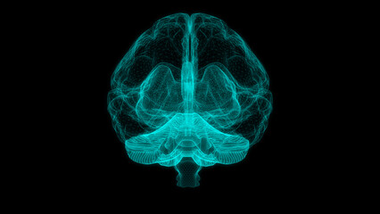 Digital brain structure line hologram science scan creativity virtual Front or back view © JOJO.FN&CO.COM