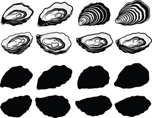Oysters shell vector illustration set with detailed line art and black silhouettes for gourmet seafood restaurant menu graphic design element © Olivia
