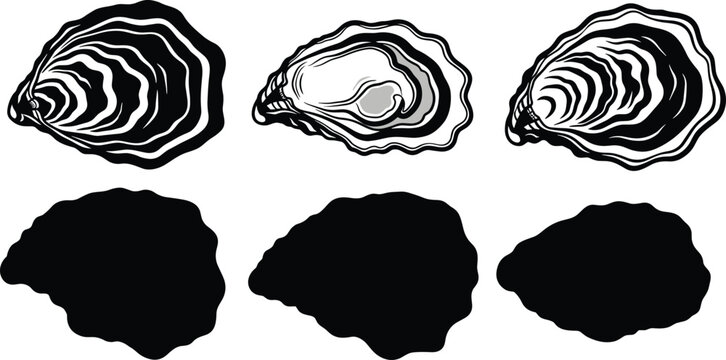 Oysters shell vector illustration set with text typography and black silhouettes for luxury seafood restaurant menu graphic culinary design
