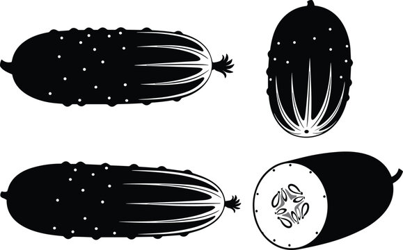 Cucumber silhouette vector illustration set with detailed textures and half sliced fresh organic vegetable for healthy salad diet cooking recipes design.