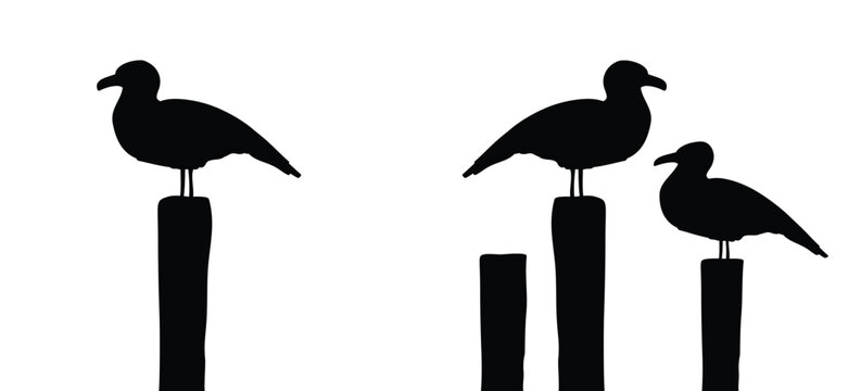 Silhouettes of birds on wooden posts. Seagulls. Cartoon mooring posts or jetty posts. Resting for a moment without wet feet, looking for food and keeping an eye on other birds.