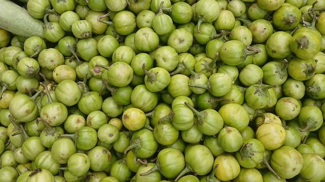 Video of raw bitter eggplant