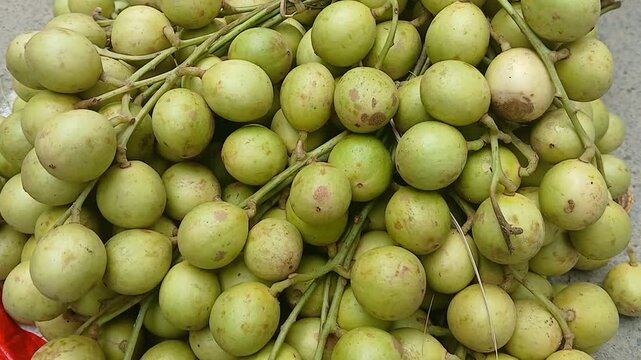 Closeup video of Latkan fruit.	
