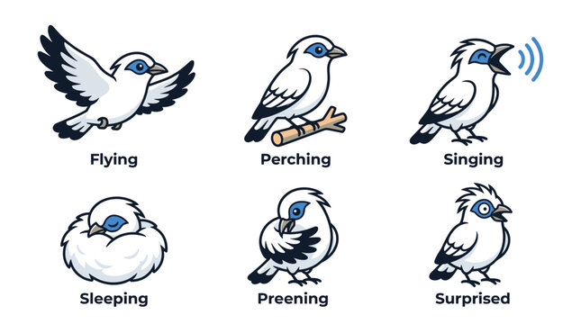 Bird in Different Emotional States.