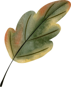 green leaf watercolor illustration
