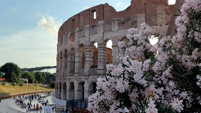 Frame shot of the Colosseum exterior behind beautiful spring blossoms.