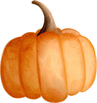 orange pumpkin watercolor illustration
