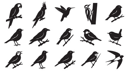 Obraz premium An extensive collection of diverse bird silhouettes, showcasing various avian species perched and in flight, perfect for nature-themed design elements and graphic projects